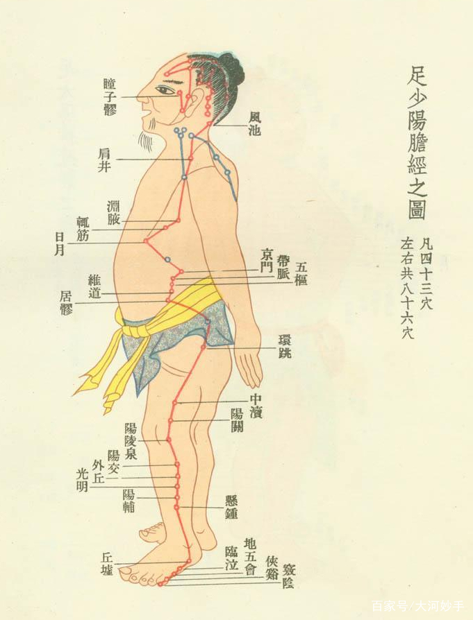 人体胆经的位置图片图片